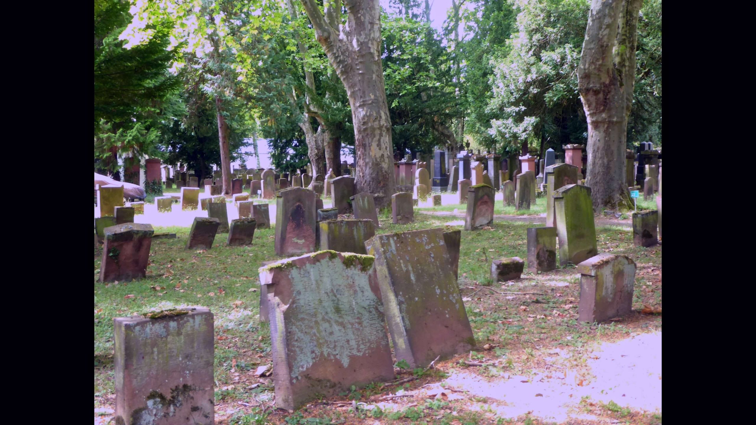 Alter jüdischer Friedhof